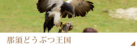 那須どうぶつ王国